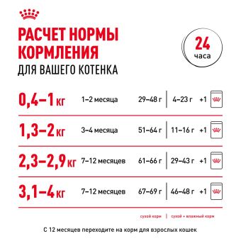 Консервированный корм для котят Royal Canin Kitten в возрасте до 12 месяцев в соусе