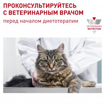 Корм Royal Canin Mature Consult для кошек старше 7 лет без выраженных признаков старения