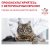 Корм Royal Canin Mature Consult для кошек старше 7 лет без выраженных признаков старения