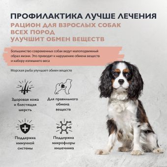 Корм Brit Care Dog Adult Sensitive Metabolic для собак с морской рыбой и индейкой для улучшения обмена веществ