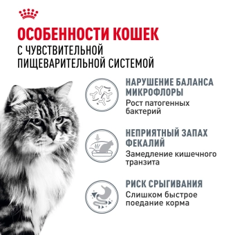 Корм Royal Canin Digestive Care для взрослых кошек с расстройством пищеварительной системы