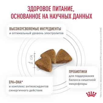 Royal Canin GASTROINTESTINAL (ГАСТРОИНТЕСТИНАЛ) диетический для взрослых кошек при расстройствах пищеварения