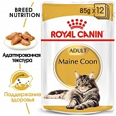 Royal Canin Maine Coon Adult корм консервированный для взрослых кошек породы Мэйн Кун, соус Royal Canin Maine Coon Adult корм консервированный для взрослых кошек породы Мэйн Кун, соус