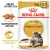 Royal Canin Maine Coon Adult корм консервированный для взрослых кошек породы Мэйн Кун, соус Royal Canin Maine Coon Adult корм консервированный для взрослых кошек породы Мэйн Кун, соус