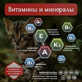 Банки BioMenu kitten для котят мясной паштет с говядиной 95% мясо Банки BioMenu kitten для котят мясной паштет с говядиной 95% мясо