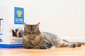 Комкующийся наполнитель Dr. Elsey’s Ultra для кошачьего туалета