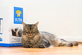 Комкующийся наполнитель Dr. Elsey’s Ultra для кошачьего туалета Комкующийся наполнитель Dr. Elsey’s Ultra для кошачьего туалета
