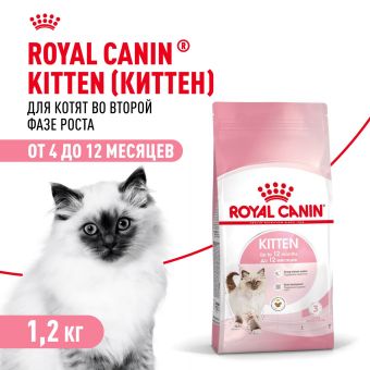 Royal Canin Kitten корм сухой сбалансированный для котят в период второй фазы роста до 12 месяцев