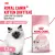Royal Canin Kitten корм сухой сбалансированный для котят в период второй фазы роста до 12 месяцев Royal Canin Kitten корм сухой сбалансированный для котят в период второй фазы роста до 12 месяцев