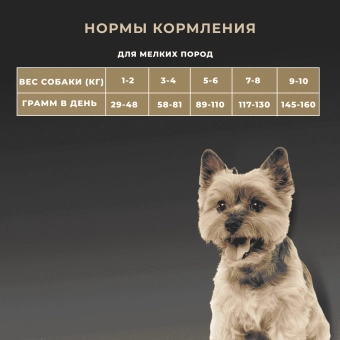 Сухой корм Premier для собак мелких пород с чувствительным пищеварением или склонных к аллергии, индейка