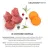 Сухой корм GRANDORF Fresh KITTEN Lamb&Sweet Potato для котят от 3 недель, беременных и кормящих кошек, ягнёнок и батат