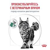 Паучи Royal Canin Satiety Weight Management для кошек, рекомендуемый для снижения веса