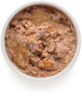 Консервы Grandorf Fresh для взрослых собак всех пород монопротеиновый паштет из утки с бататом и цветной капустой