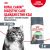 Корм Royal Canin Digestive Care для взрослых кошек с расстройством пищеварительной системы