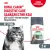 Корм Royal Canin Digestive Care для взрослых кошек с расстройством пищеварительной системы Корм Royal Canin Digestive Care для взрослых кошек с расстройством пищеварительной системы
