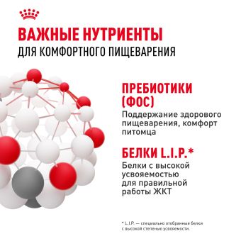 Корм для взрослых кошек с чувствительной пищеварительной системой Royal Canin Sensible 33 сухой сбалансированный