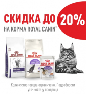 BLACK FRIDAY! Скидка до 20% на корма для кошек торговой марки Royal Canin!