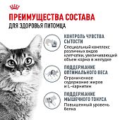 Паучи Royal Canin Light Weight Care для взрослых кошек для контроля набора веса мелкие кусочки в желе