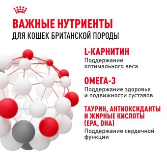 Корм сухой сбалансированный Royal Canin British Shorthair Adult для взрослых британских короткошерстных кошек
