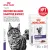 Паучи Royal Canin Neutered Balance для взрослых стерилизованных кошек, склонных к набору веса Паучи Royal Canin Neutered Balance для взрослых стерилизованных кошек, склонных к набору веса