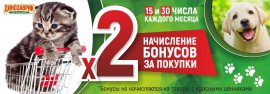 Двойные бонусы за покупки