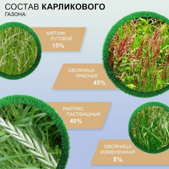 Медленнорастущий карликовый газон Мираторг