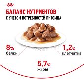 Паучи Royal Canin Mini Ageing 12+ для собак маленьких пород собак в возрасте сраше 12 лет