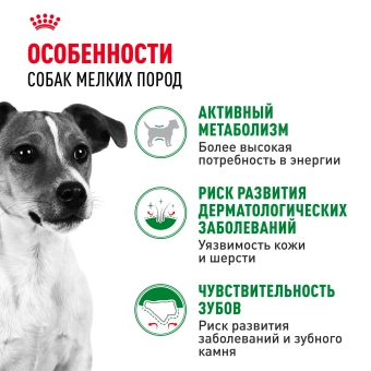 Корм для собак Royal Canin Mini Adult Корм сухой для взрослых собак мелких размеров от 10 месяцев