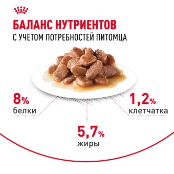 Паучи Royal Canin Mini Ageing 12+ для собак маленьких пород собак в возрасте сраше 12 лет