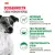 Корм для собак Royal Canin Mini Adult Корм сухой для взрослых собак мелких размеров от 10 месяцев