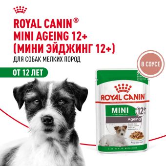 Паучи Royal Canin Mini Ageing 12+ для собак маленьких пород собак в возрасте сраше 12 лет
