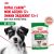 Паучи Royal Canin Mini Ageing 12+ для собак маленьких пород собак в возрасте сраше 12 лет