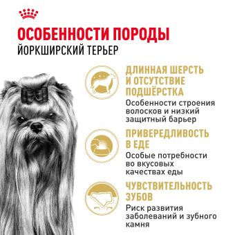 Корм для котят Royal Canin Kitten Корм сухой сбалансированный период второй фазы роста