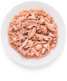 Консервы Grandorf Adult Cat Tuna With Salmon In Broth для кошек филе тунца с мясом лосося