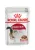 Royal Canin Instinctive корм консервированный для взрослых кошек, соус Royal Canin Instinctive корм консервированный для взрослых кошек, соус