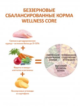 Корм Wellness Core для щенков крупных пород из курицы