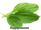 Сухой Корм Alleva Holistic Cat Neutered Chicken & Duck для стерил. кошек с курицей и уткой, волокнами сахарного тростника Сухой Корм Alleva Holistic Cat Neutered Chicken & Duck для стерил. кошек с курицей и уткой, волокнами сахарного тростника