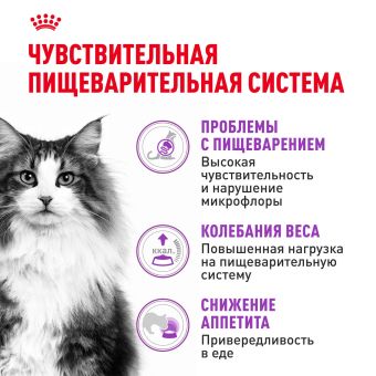 Корм для взрослых кошек с чувствительной пищеварительной системой Royal Canin Sensible 33 сухой сбалансированный