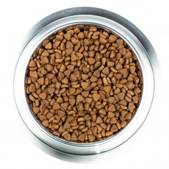 Корм Wellness Core для взрослых собак мелких пород из индейки и курицы