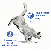 Royal Canin Light Weight Care корм сухой для взрослых кошек для профилактики лишнего веса
