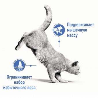 Royal Canin Light Weight Care корм сухой для взрослых кошек для профилактики лишнего веса