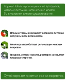Корм Alleva Holistic Puppy Chicken & Duck для щенков маленьк пород с курицей, уткой,...