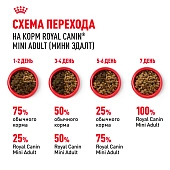Сухой Корм для собак Royal Canin Mini Adult Корм сухой для взрослых собак мелких размеров от 10 месяцев Сухой Корм для собак Royal Canin Mini Adult Корм сухой для взрослых собак мелких размеров от 10 месяцев