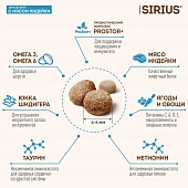 Сухой Корм Sirius полнорационный для котят с курицей и индейкой