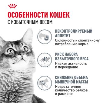 Паучи Royal Canin Light Weight Care для взрослых кошек для контроля набора веса мелкие кусочки в желе