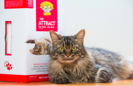 Первый натуральный наполнитель для коррекции поведения Dr.ELSEYS!