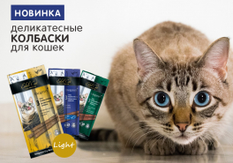 Новые лакомства Edel Cat