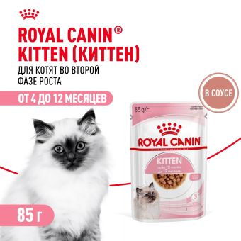 Консервированный корм для котят Royal Canin Kitten в возрасте до 12 месяцев в соусе