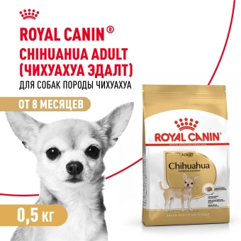 Корм для собак Royal Canin Chihuahua Adult сухой для взрослых собак породы Чихуахуа от 8 месяцев