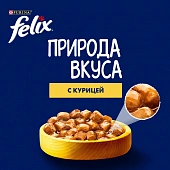 Влажный корм Felix Природа вкуса для взрослых кошек с курицей в соусе Влажный корм Felix Природа вкуса для взрослых кошек с курицей в соусе